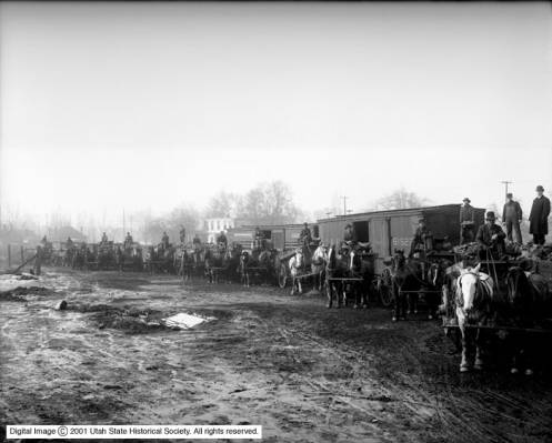wasatch_coal_co_teams_in_yard_feb1917